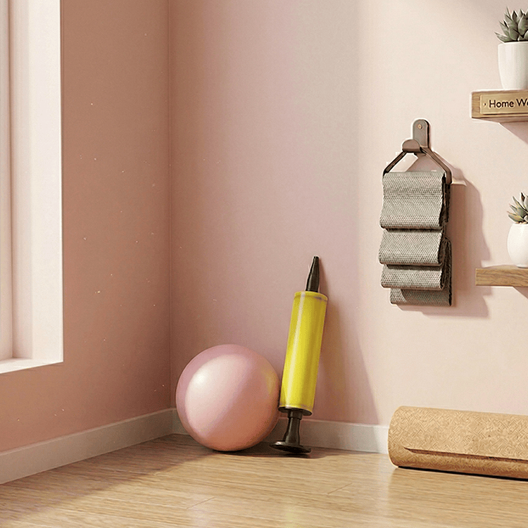 Pilates Ball | Mini Exercise Ball for Core & Balance Training